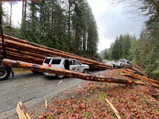 From chemical burns to a logging truck crash, RCMP describe recent events at Fairy Creek