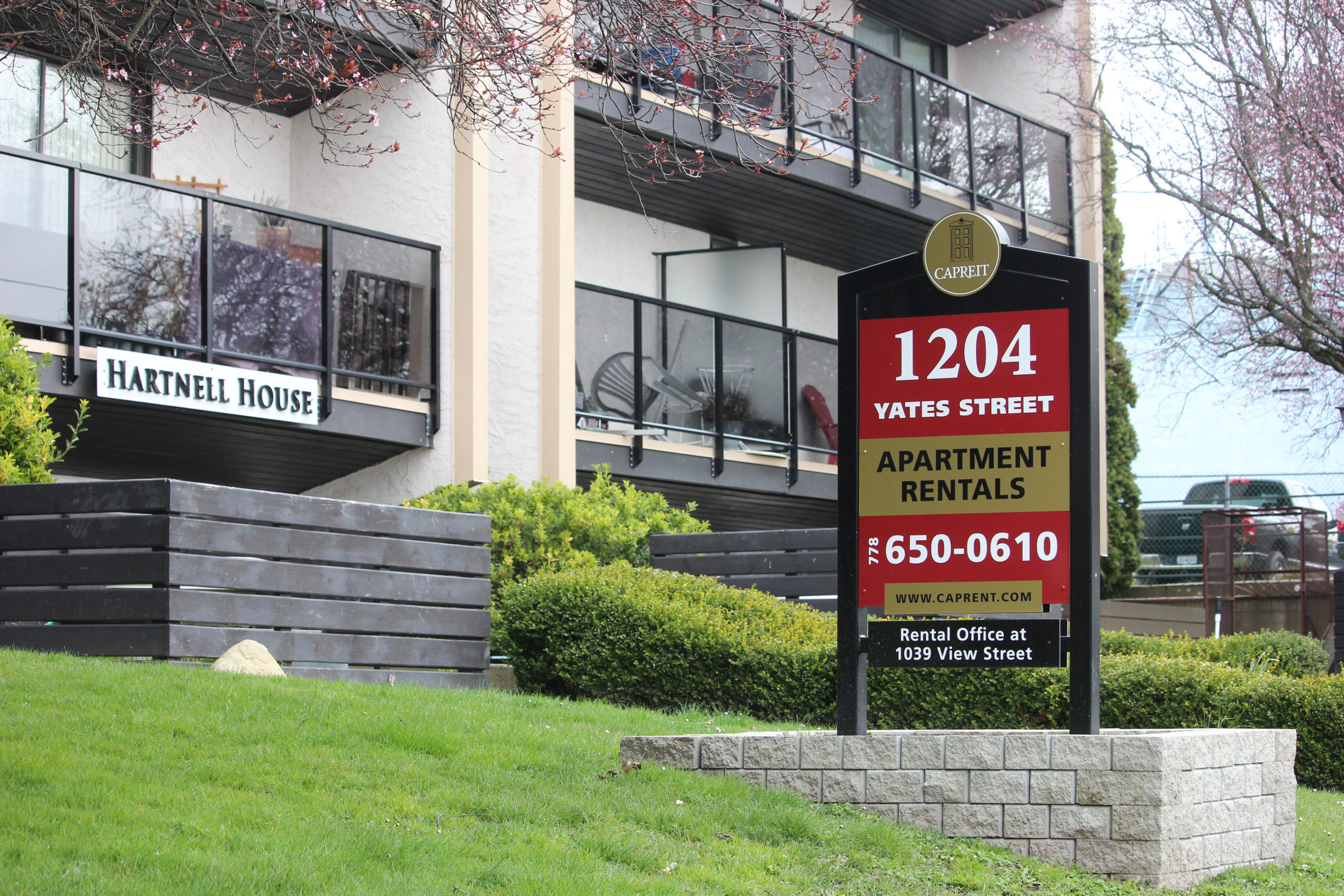 "It's kind of a perfect storm" Report indicates average rent in Victoria up nearly 20 per cent