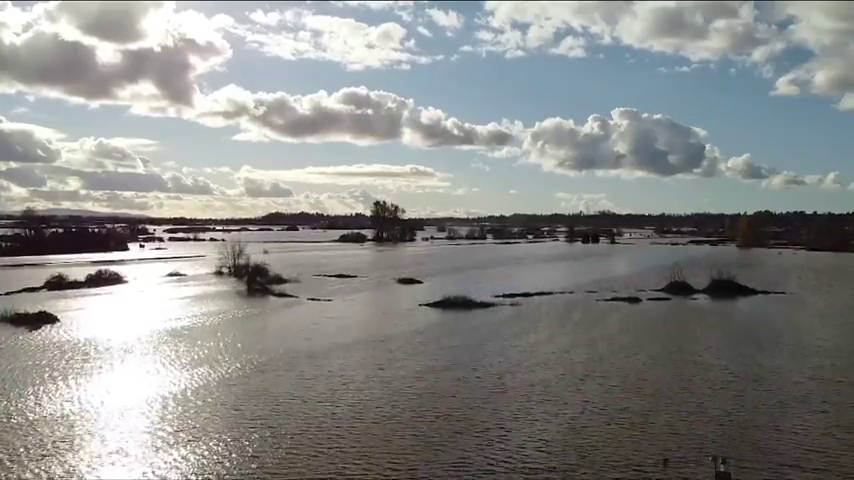 'Our food is secure' but grain exports to Asia delayed by B.C. floods