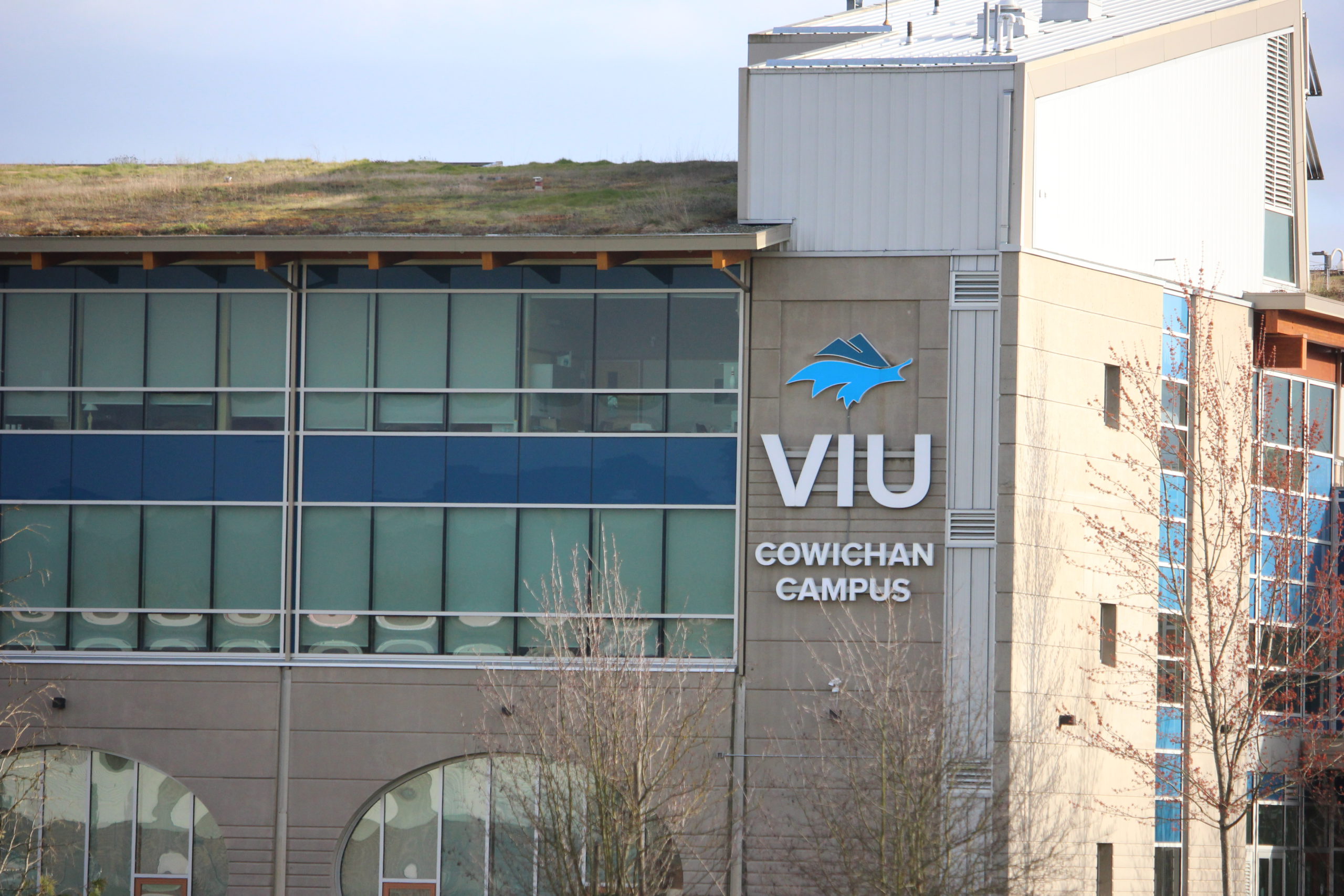 Nearly 100 confirmed COVID cases at Island postsecondary schools