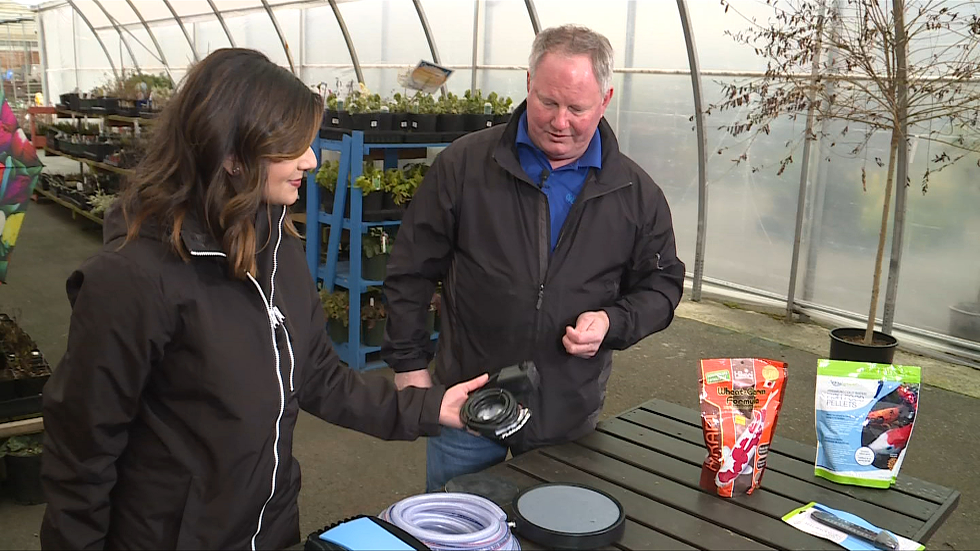 Get Up and Grow What to do if your fish pond freezes over