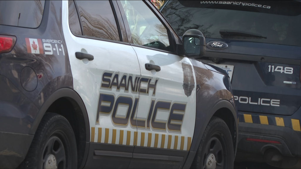 Mother pushing stroller seriously injured after being struck by motorist in Saanich: police