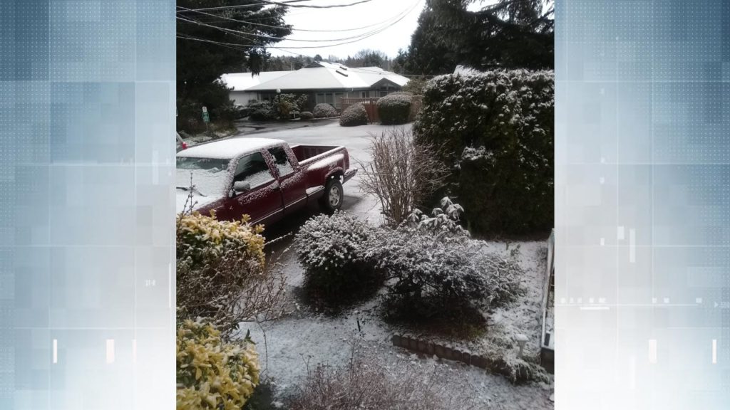 Surprise snow on Family Day on parts of Vancouver Island