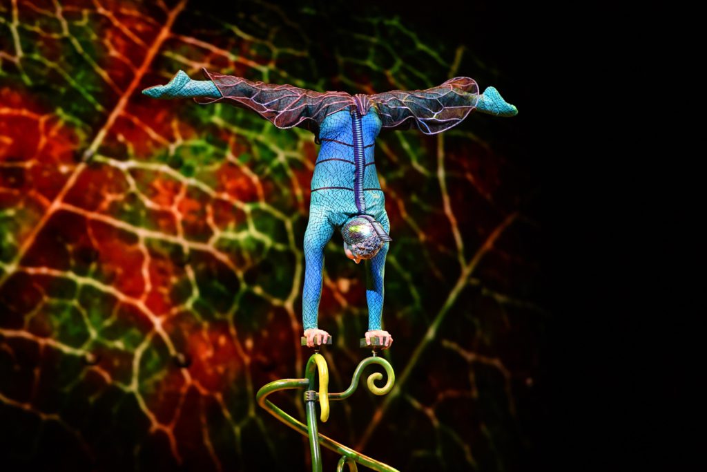 Cirque du Soleil bringing seven shows to Victoria in June