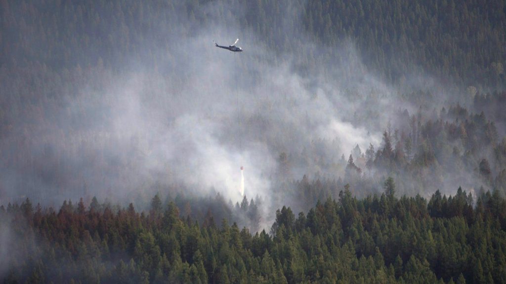 Curbing Canadian forest fires could be an affordable way to cut emissions: study