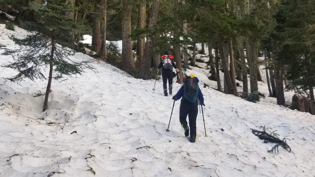 Comox Valley SAR rescues backcountry skier who became stranded by avalanches