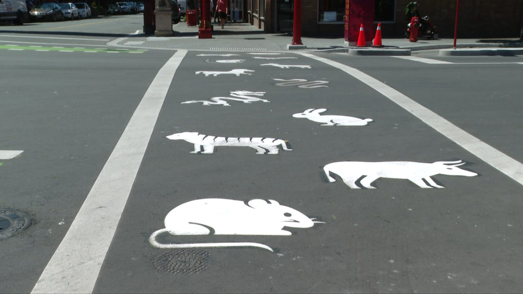 Zodiac animals painted in Government and Fisgard crosswalk