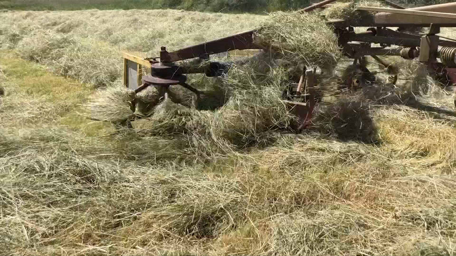 Vancouver Island farmers race against the rain to harvest hay crops