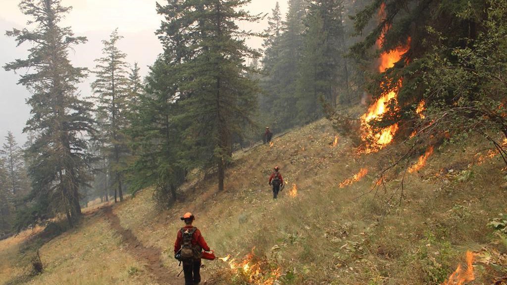 BC Wildfire Service plans control burns to bring Okanagan wildfire under check