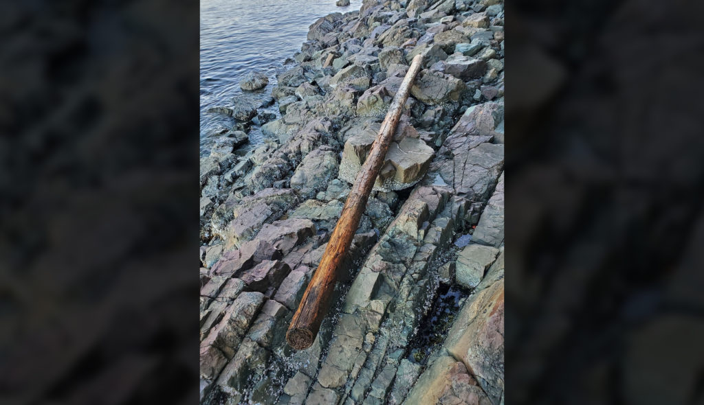 Man allegedly pushes log off cliff, striking kayakers below: Nanaimo RCMP