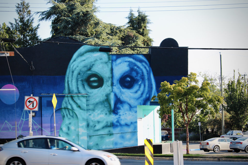 Massive owl mural adds a pop of colour to Esquimalt