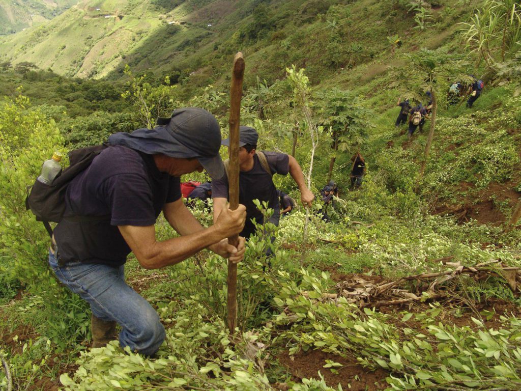 200 environmental activists killed globally in 2021, report says