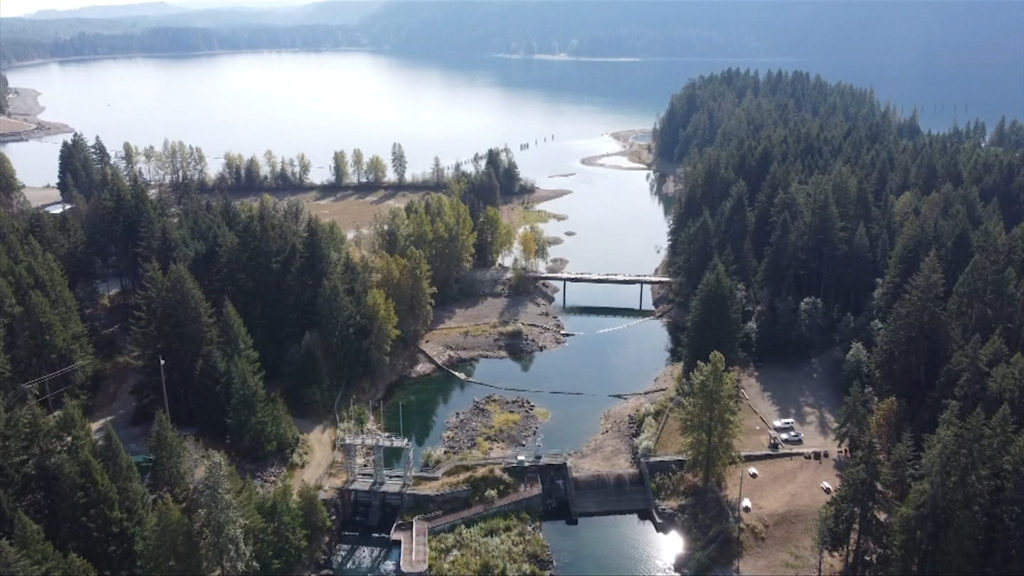 Fish salvage crews on scene at Puntledge River as flow reduced: BC Hydro