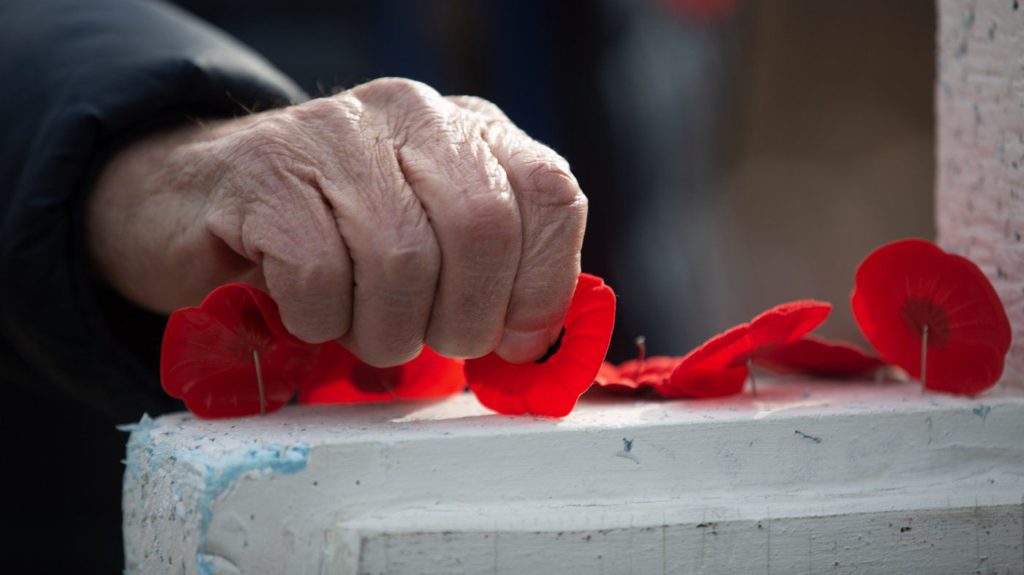 Ukraine war looms large as Canadians mark Remembrance Day