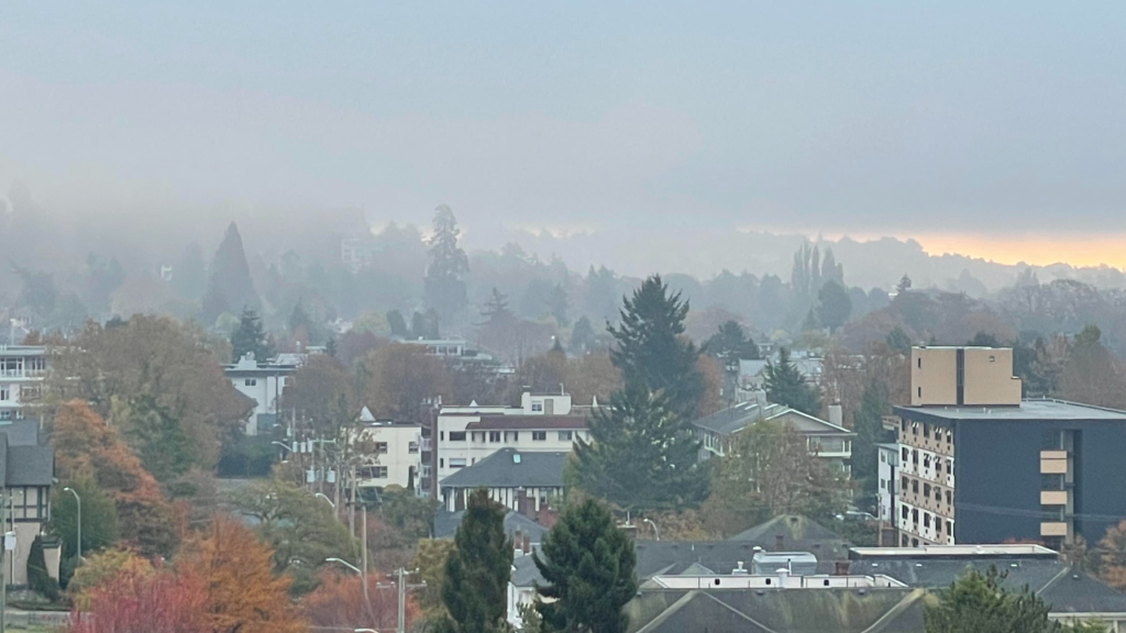 Fog expected to return to Vancouver Island on Wednesday