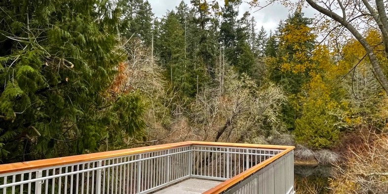 Colwood unveils new viewing platform at Murray's Pond Park