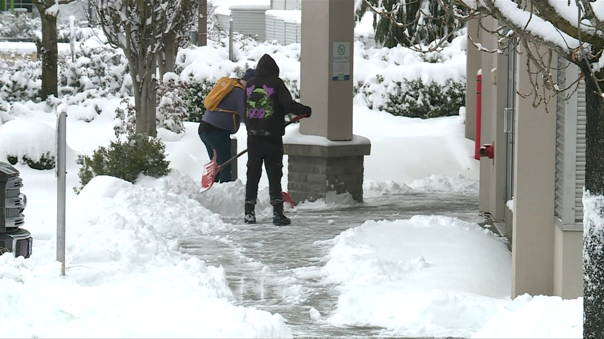 Nanaimo snow day sees neighbours help dig each other out from 30 cm