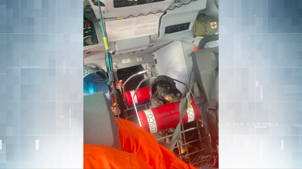 One dog still missing after Coast Guard rescue after sailboat ran aground