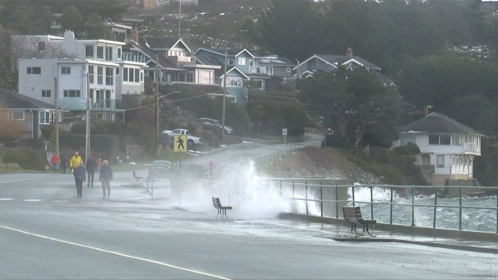 Wind warnings issued for parts of Vancouver Island, Southern Gulf Islands