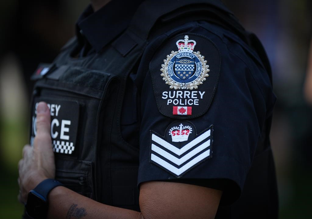 Surrey police chief wants audit of city's 'inflated and mischaracterized' costings