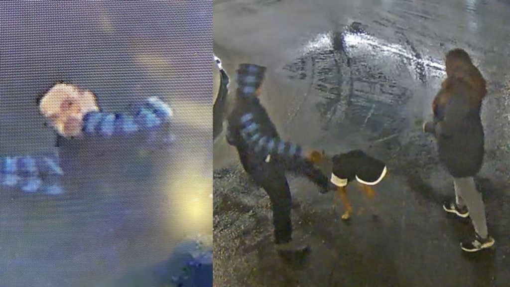 Police seek man who assaulted tourists, kicked dog in downtown Victoria