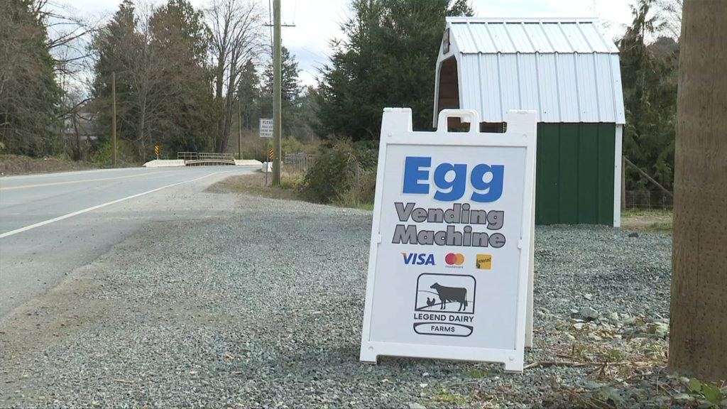 A sandwich board sign advertises the egg vending machine