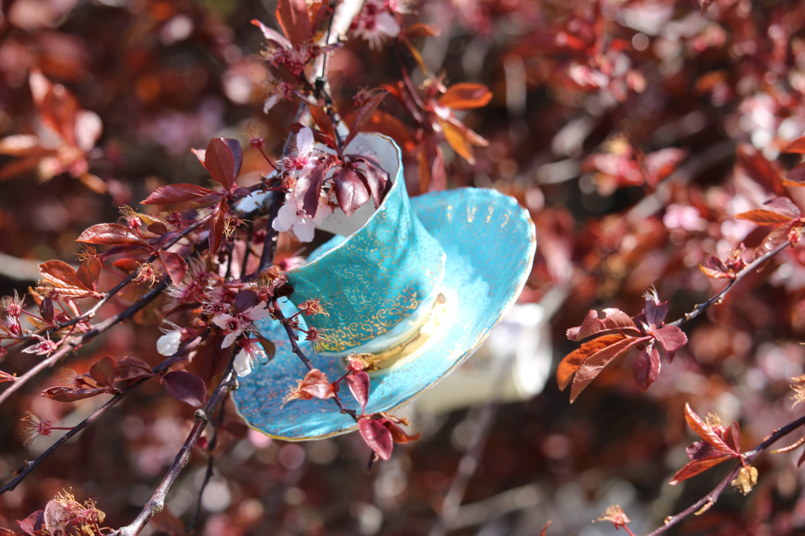 A blue Teacup hangs from a tree in James Bay.