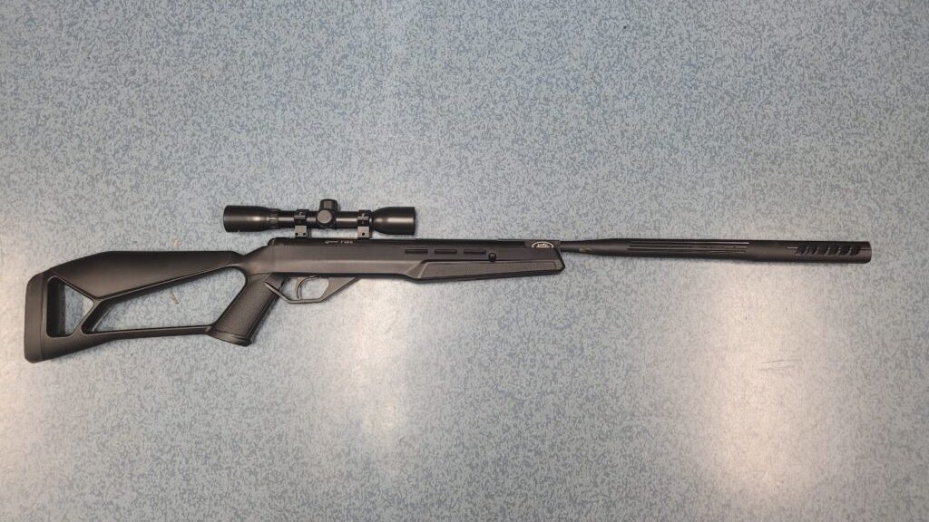 Police seize airsoft rifle used for target practice at Saanich beach from 'apologetic' men