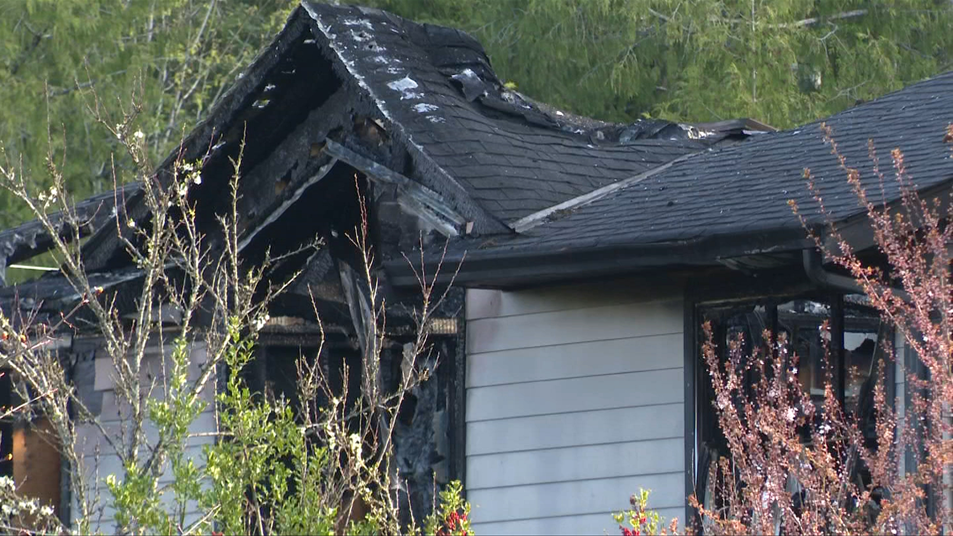 People, pets escape house fire in Mill Bay
