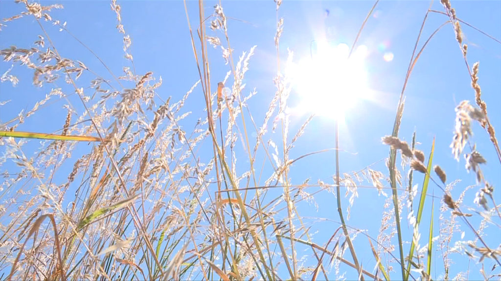 Tuesday set an unofficial record for the hottest day on Earth. Wednesday may break it.