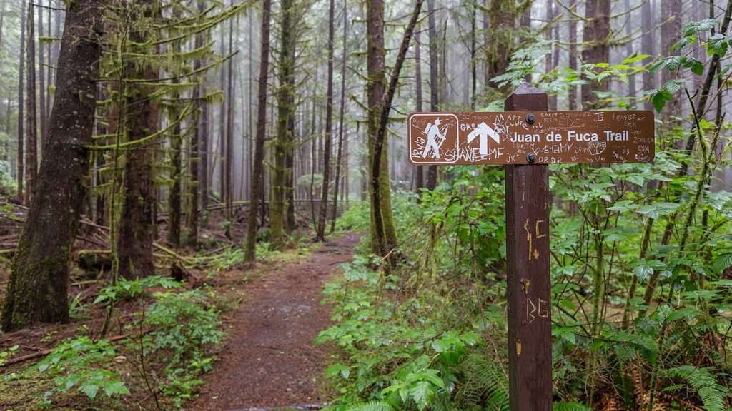 Two Island trails make top 10 list requiring most SAR responses