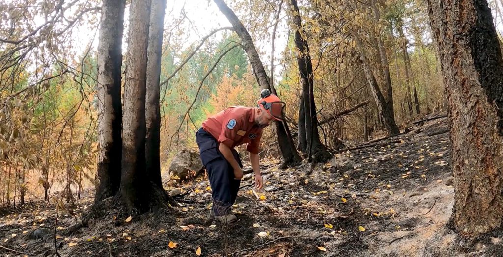 Two active wildfires on Vancouver Island suspected to be human caused, third under investigation