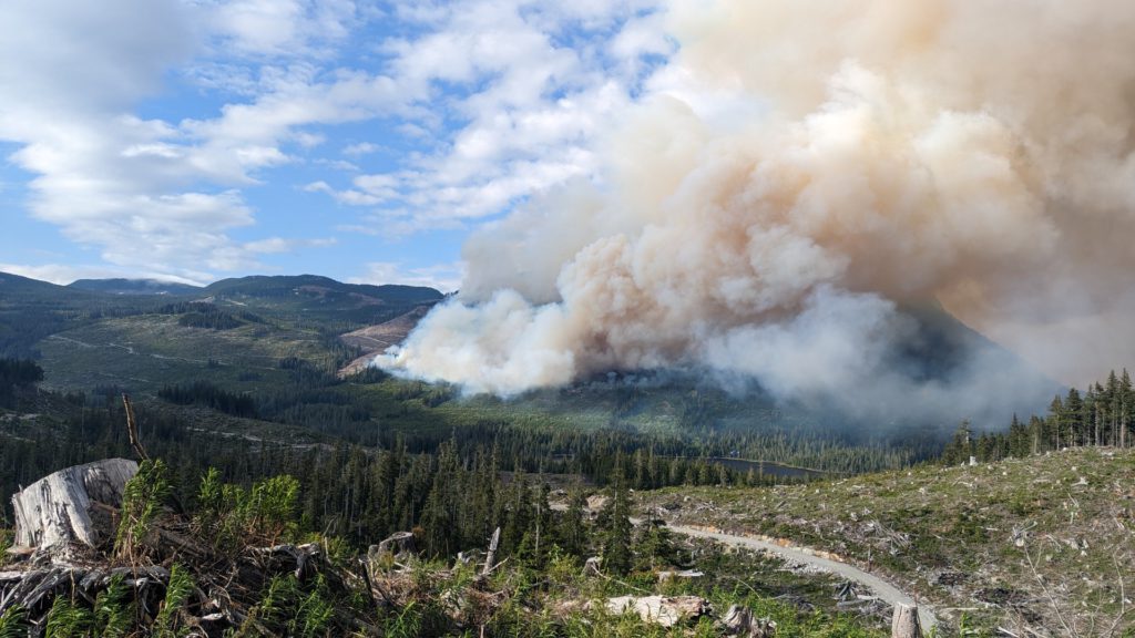 Out-of-control wildfire west of Sayward grows to 160 hectares