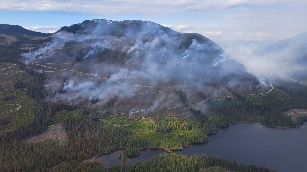 Wildfire near Sayward now 'being held,' remains at 208 hectares