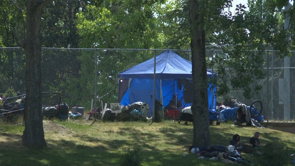 VicPD bringing 'sustained enforcement' to Topaz Park to curb illegal sheltering