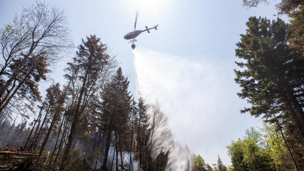 Halifax-area residents board buses to view dozens of homes destroyed by wildfires