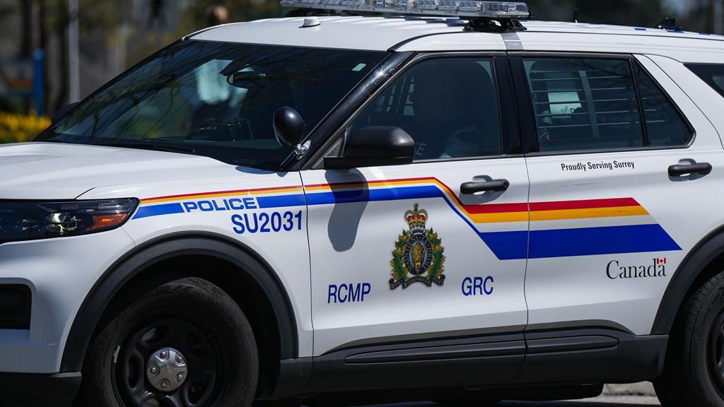 One seriously hurt as plane catches fire in Surrey, B.C., RCMP say