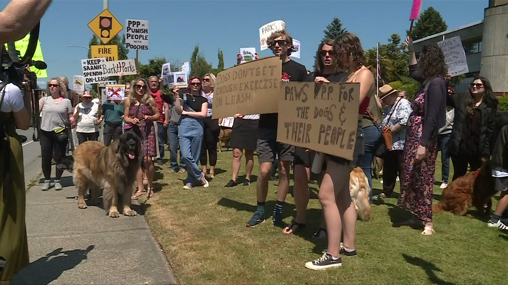 'You can't do that to dogs': A hundred people gather to protest Saanich's proposed off-leash restrictions - Vimarsana News