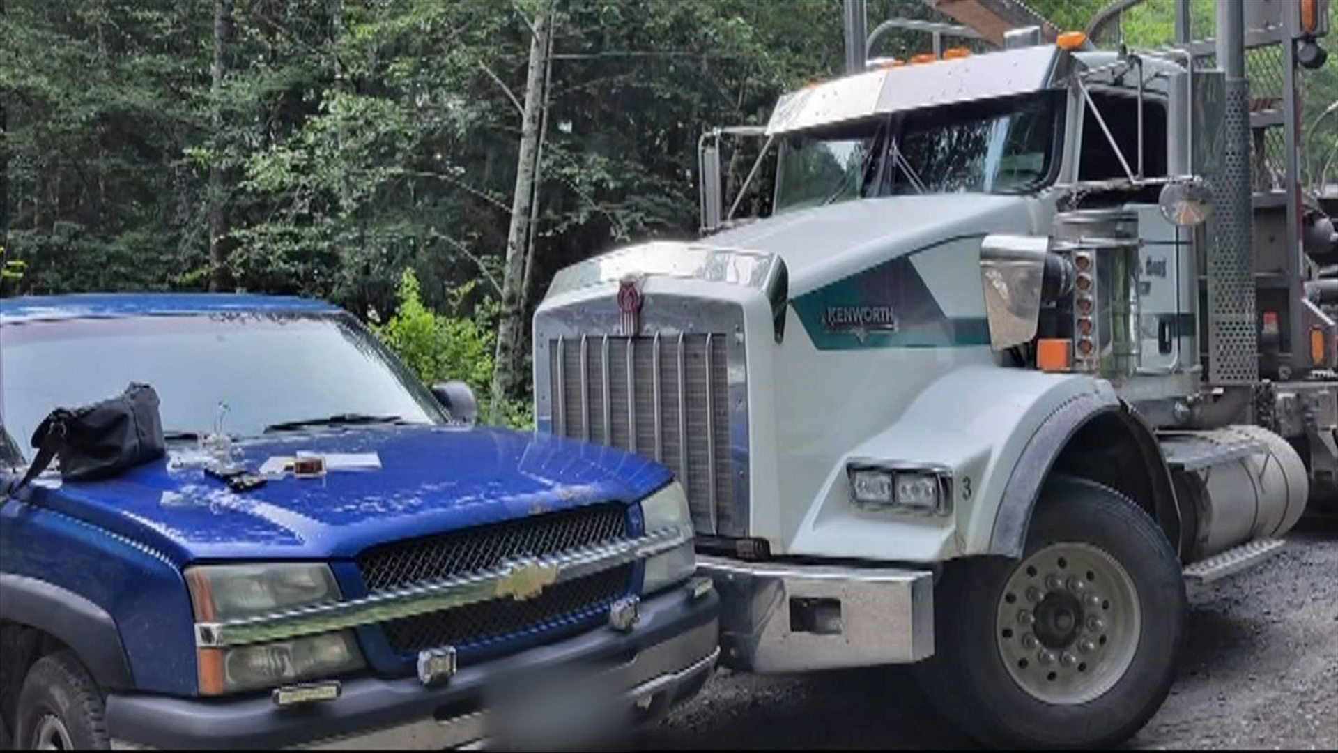 Port Alberni ‘hero’ truck driver stops suspected poachers