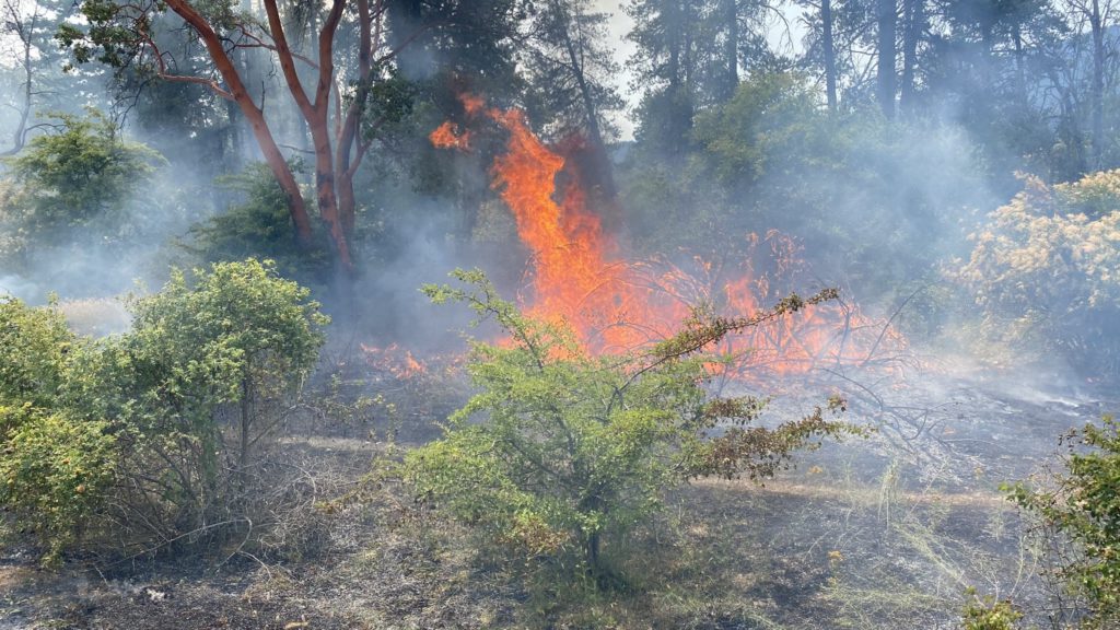 Crews battle brush fires near Nanaimo Parkway