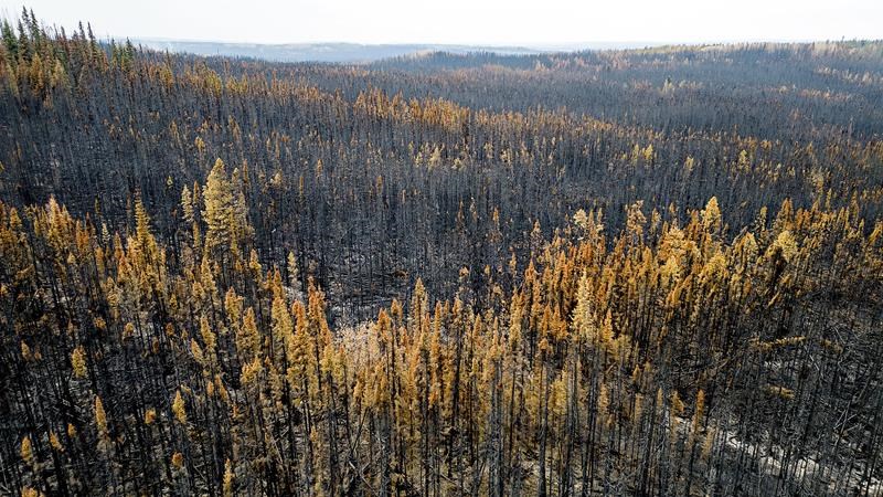 'Conserve water now': Vancouver Island moved to highest drought level