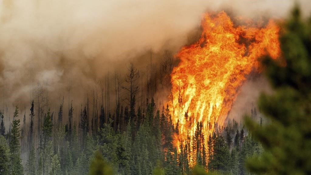 Ontario man dies battling wildfire in B.C.