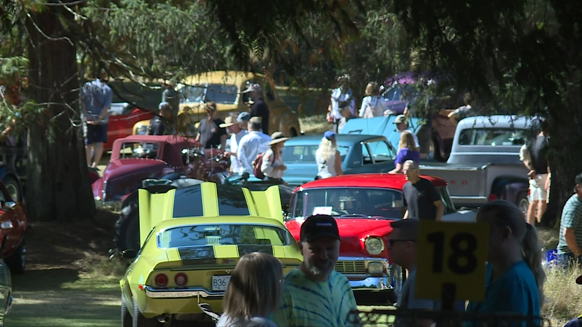 Golf course classic car show in Courtenay growing in popularity