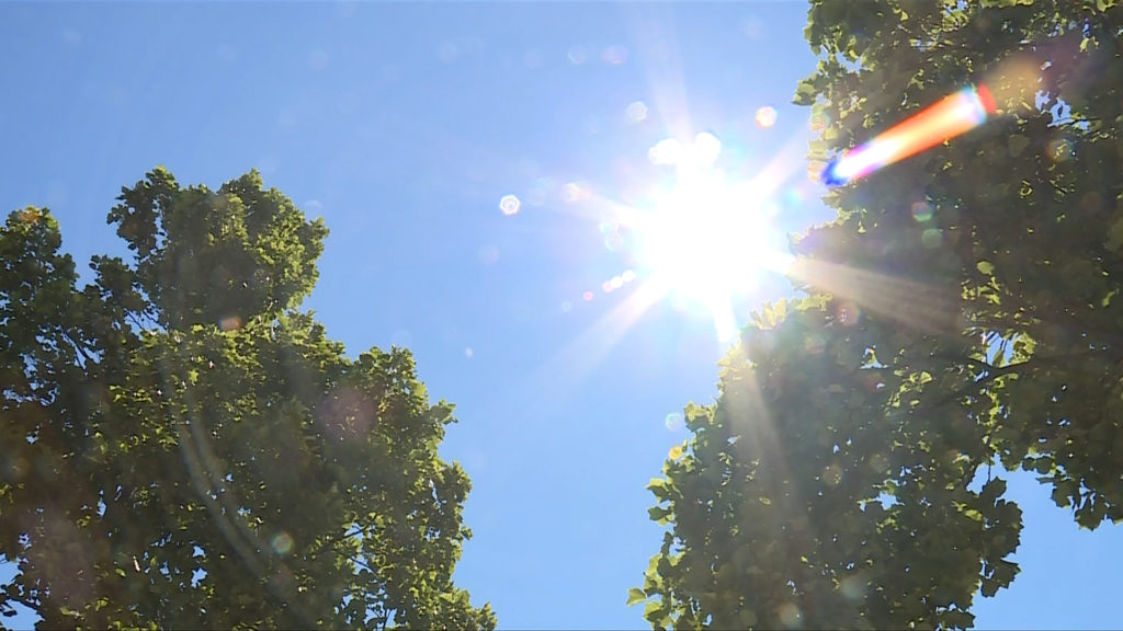 Heat wave warnings continue for parts of Vancouver Island