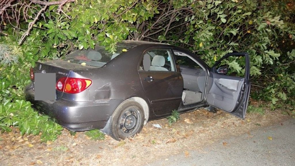 Intoxicated Colwood driver collides into tree line, loses license for 90 days: RCMP