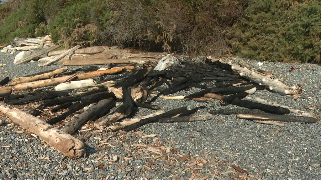 'Beach fires aren’t allowed': Dallas Road beach fire nearly spreads onto embankment