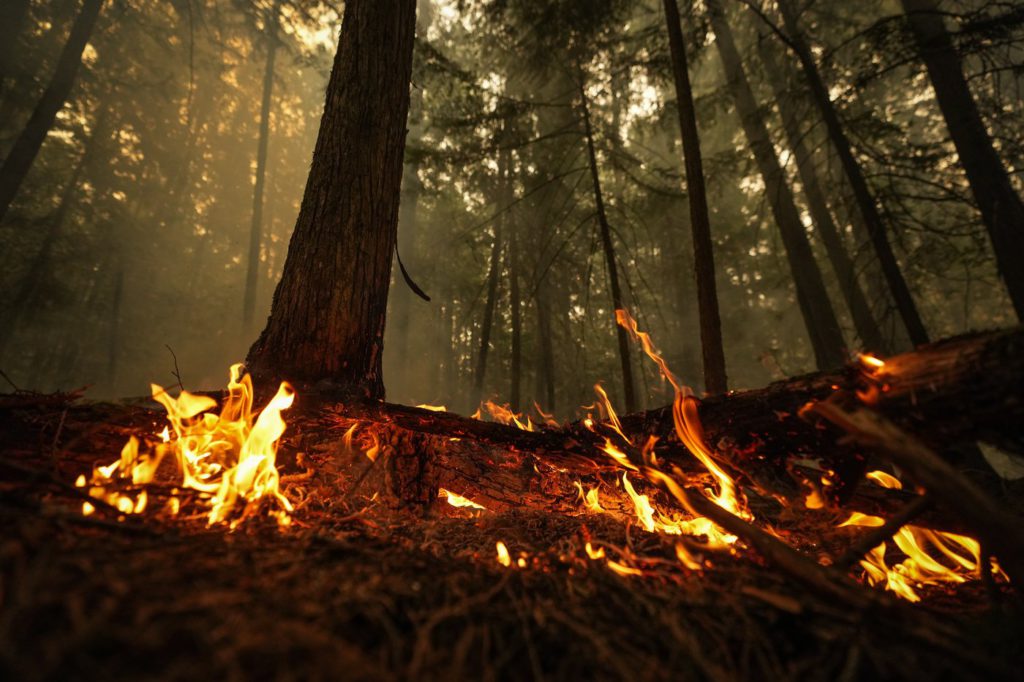 B.C. man ordered to pay $450,000 over 2019 wildfire triggered by debris burn